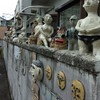 ズームしてみました！