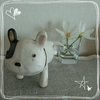 この子に出会いました ♡((●>ψψ<)))