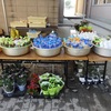 500mlペットボトル100円