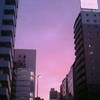 本日の夕景＠末広町