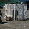 北海道犬_さあ　吠えろ！