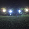 ドッグランにナイター設備