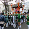 御神輿が練り歩く