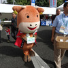 岩泉町のゆるきゃら