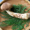 松茸（上開き）
