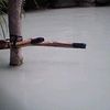 秋田県 乳頭温泉郷 鶴の湯「外観」