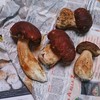 イタリアから届いたポルチーニ。今年は３Ｌだ。