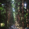 戸隠神社参道