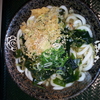はなまるうどん　ワカメかけ中