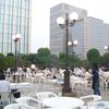 都会のオアシス。