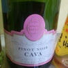 Mas bernich PINO CAVA
