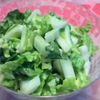 白菜サラダ