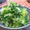 白菜サラダ