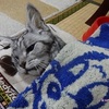生きているみたい