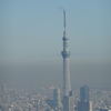 東京タワーから望むスカイツリー