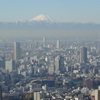 東京タワーから富士山を見る