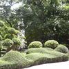 Kowloon Park