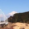 こんな展望台がありました。