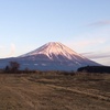 ほんのりピンク色に。