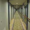 ２００メートルの廊下これでも半分　鏡じゃないのよ