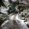 雪の徳川園