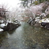 雪の徳川園