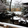 雪の徳川園