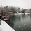 雪の徳川園