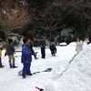 雪合戦をやってます…
