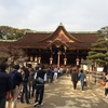 混んでいますね！ここまできたら神頼み！