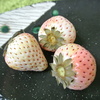 白いちご　貰った