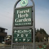 Forest Herb Garden