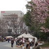 不忍池　骨董市