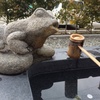 無事カエル！若ガエル！