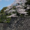 石垣の上