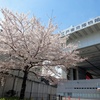 江戸東京博物館