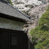 城ですね
