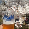 花よりビール