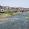 春のうららの広瀬川♪