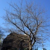 ３月23日 朝