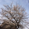 ３月29日 朝