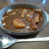 カレーはルー多目