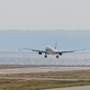 A330-300　LANDING