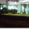 １Fあった大きな水槽
