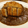 スペシャルカレー、豚カツトッピング