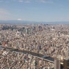 富士山が綺麗だね