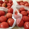 トマト40個