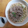 粗挽きのざる蕎麦