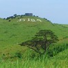 石垣のハリウッド