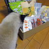 猫も来ます…